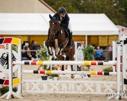 jumper Cordula Grün 2 (Oldenburg show jumper, 2015, from Christian 25)