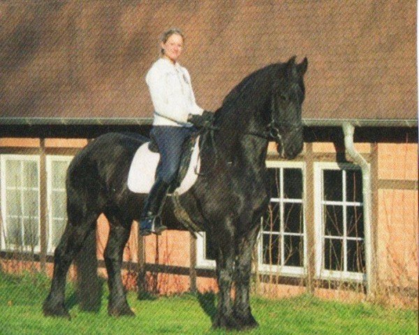 Pferd Trude fan´s Simmerdyk (Friese, 1998, von Rypke 321)