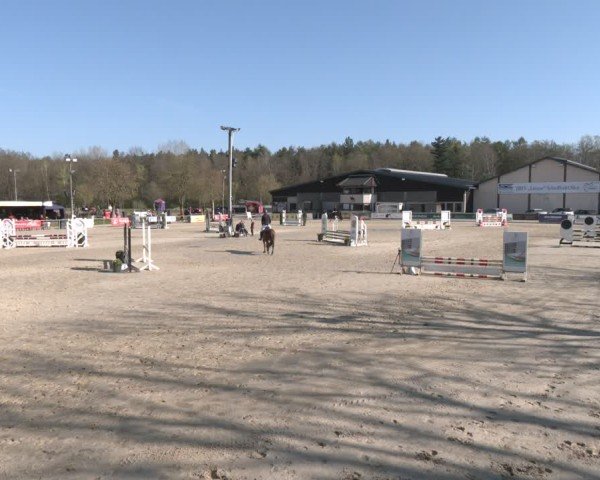 Reitturnier Olfen 2025
