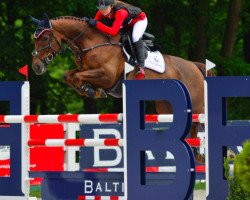 jumper Ilana van de Eedthoek (Belgian Warmblood, 2008, from Kashmir van't Schuttershof)