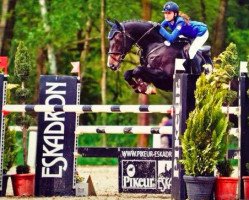 jumper Piona 7 (German Warmblood, 2004, from Contendro I)