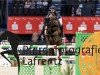 jumper Fato Rebell (German Sport Horse, 2016, from Freeman VDL)