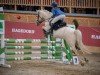 dressage horse Romina Gold (German Riding Pony, 2011, from Rheingold)