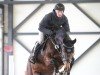 broodmare Balouna G (Hanoverian, 2016, from Balou du Rouet)