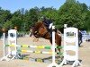 jumper Herzbeben Z (German Riding Pony, 2018, from Aarvandt)