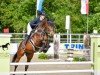jumper Greifenbachs Annuschka (Oldenburg show jumper, 2019)
