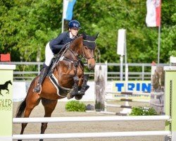 jumper Greifenbachs Annuschka (Oldenburg show jumper, 2019)