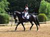 dressage horse Elisenbergs Fibonacci (Hanoverian, 2016, from Fürstenball)