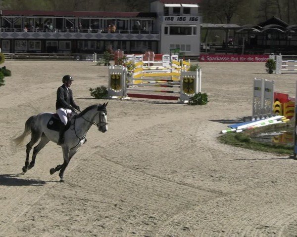 Reitturnier Balve-Wocklum 2025
