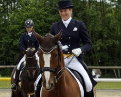 dressage horse Leuchtfeuer de (Hanoverian, 2003, from Londonderry)