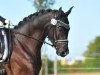 dressage horse For Freddy Wm (Oldenburg, 2016, from For Romance I)