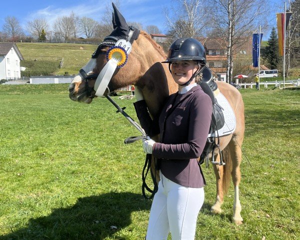 dressage horse Jolie Claire HS (German Riding Pony, 2013, from Sweet Little Dream HS)