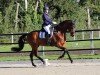 dressage horse Jenairo (KWPN (Royal Dutch Sporthorse), 2014, from Ferdeaux)