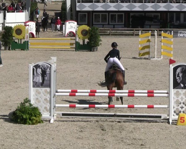 Reitturnier Balve-Wocklum 2025