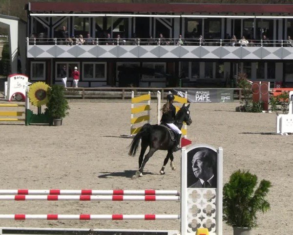 Reitturnier Balve-Wocklum 2025