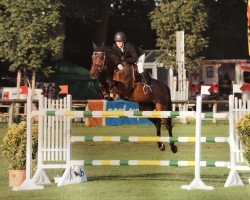 jumper Sunny (Holsteiner, 2002, from Candillo Z)