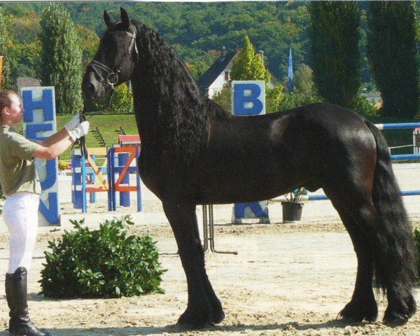 Pferd Olivier (Friese, 2004, von Aan 416)