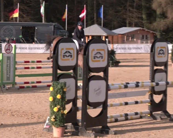 Reitturnier Ranshofen - Braunau am Inn 2025