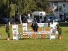 jumper Julie (German Riding Pony, 2007)