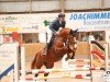 jumper Quite Right 14 (Hanoverian, 2019, from Quasimodo vd Molendreef)