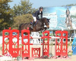 jumper Queen (Oldenburg, 2010, from Quitender)