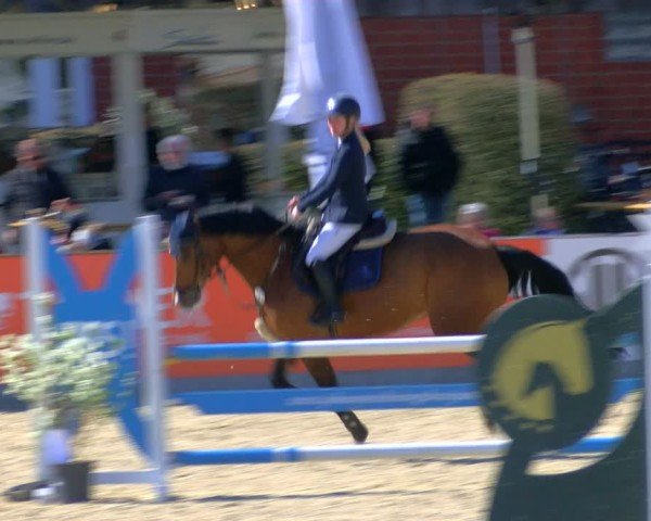 Reitturnier Borken 2025