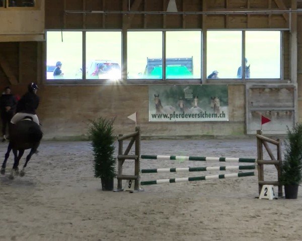 Reitturnier Rüti ZH 2025