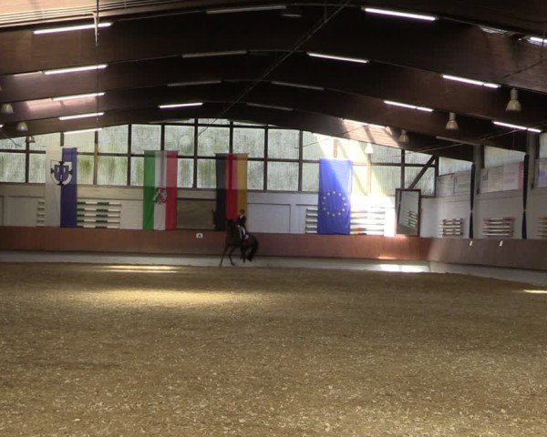 Reitturnier Bottrop 2025
