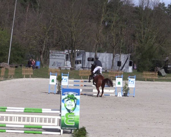 Reitturnier Pietzpuhl 2025