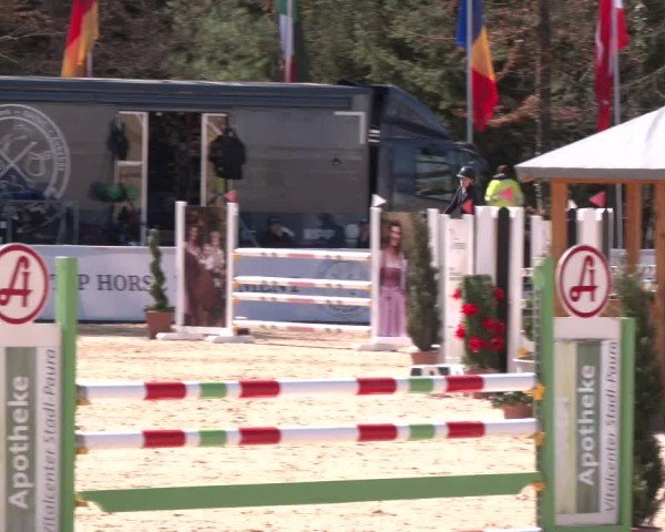 Reitturnier Ranshofen - Braunau am Inn 2025
