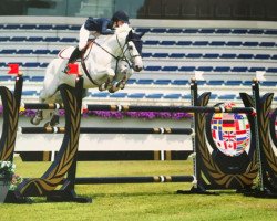 jumper Whipped Cream (KWPN (Royal Dutch Sporthorse), 2003, from Cantos)