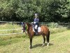 dressage horse Lina Löwenherz PJ (Welsh mountain pony (SEK.A), 2002, from Menai Julius)