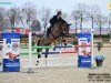 stallion Origi du Rouet (Holsteiner, 2019, from Origi D'o)