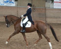 dressage horse Fidenza SF (Westphalian, 2002, from Fürst Heinrich)