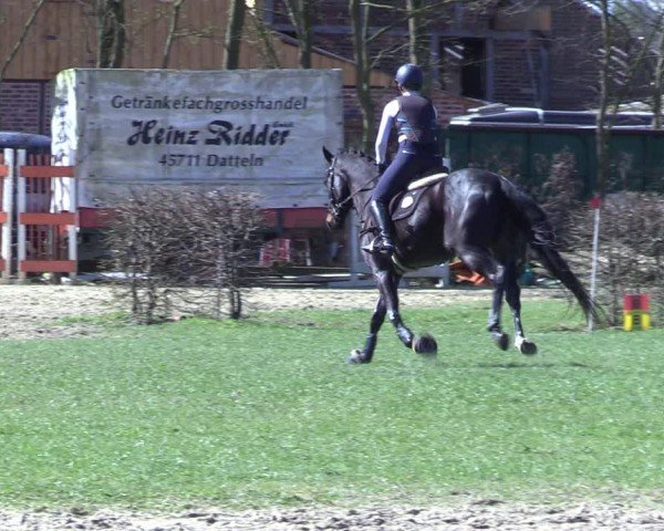 Reitturnier Olfen 2025