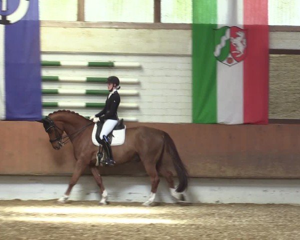 Reitturnier Bottrop 2025