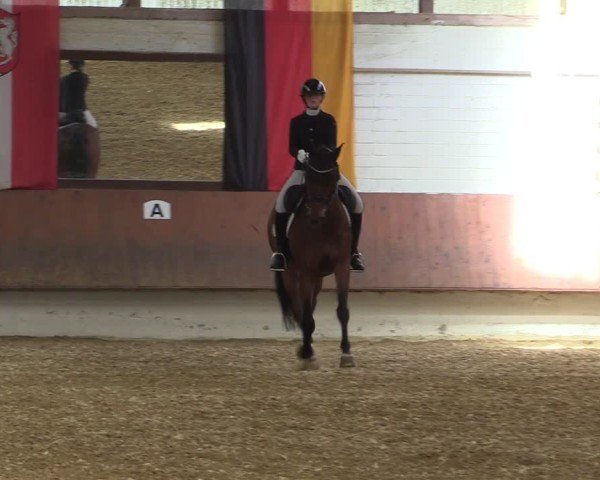 Reitturnier Bottrop 2025