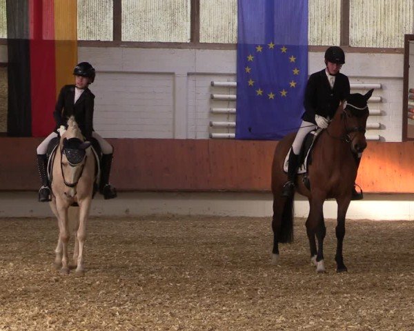 Reitturnier Bottrop 2025