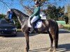 dressage horse Libambo HB (Rhinelander, 2015, from Livaldon)