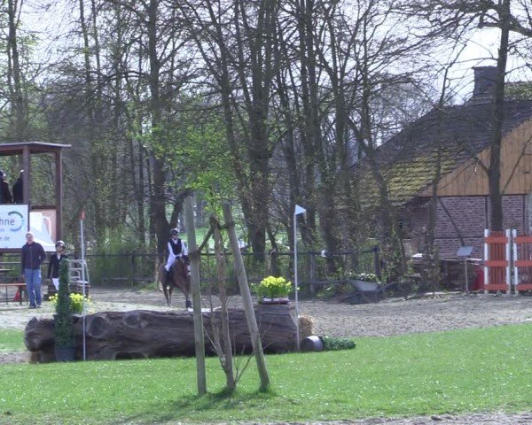 Reitturnier Olfen 2025