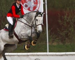 jumper Encinasola (Cruzado-Espanol, 2008, from Campione)