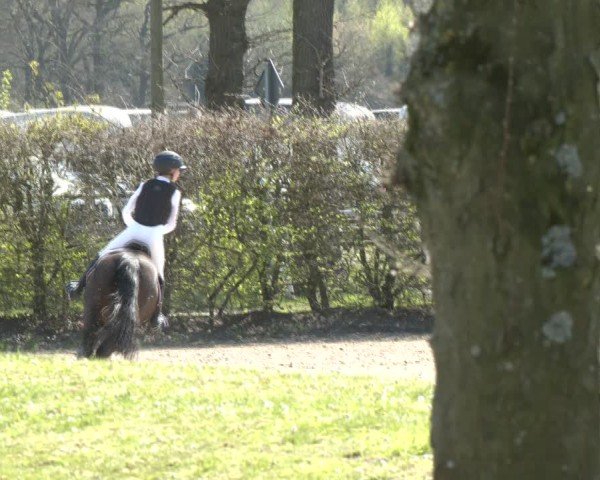 Reitturnier Olfen 2025