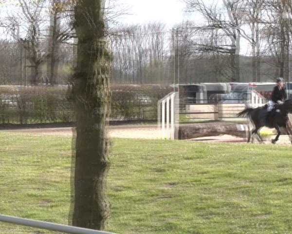 Reitturnier Olfen 2025