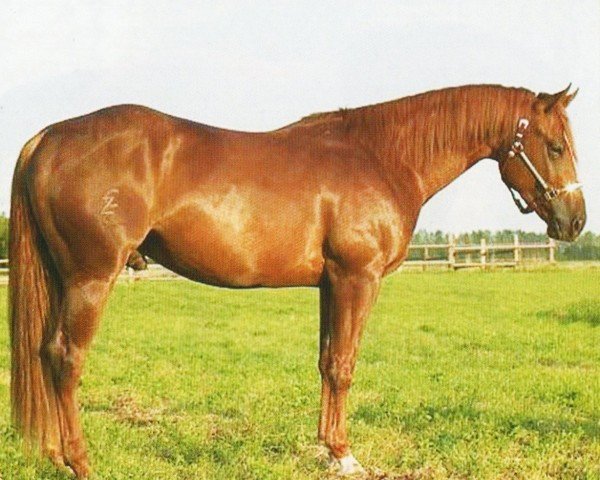 horse Smartin Cowboy (Quarter Horse, 2000, from Dunnit Like A Cowboy)