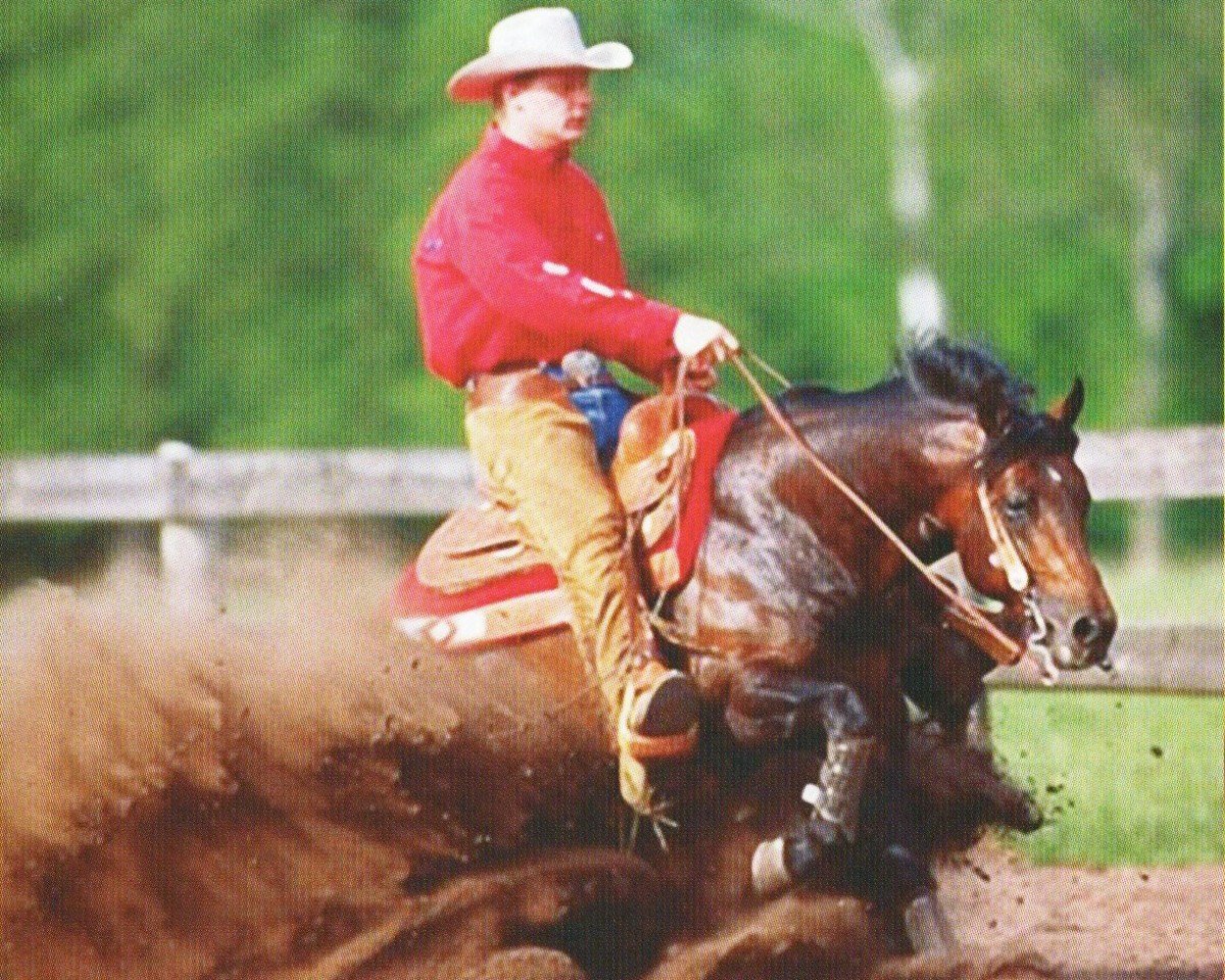 stallion Smart Little Fury (Quarter Horse, 1998, from Linas Little Fury)