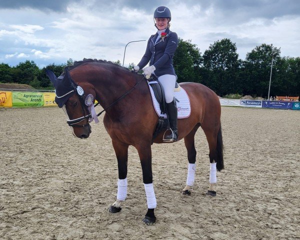 dressage horse Frascatina (Oldenburg, 2009, from Sir Oldenburg)