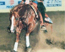 horse Star Spangled Whiz (Quarter Horse, 2002, from Topsail Whiz)
