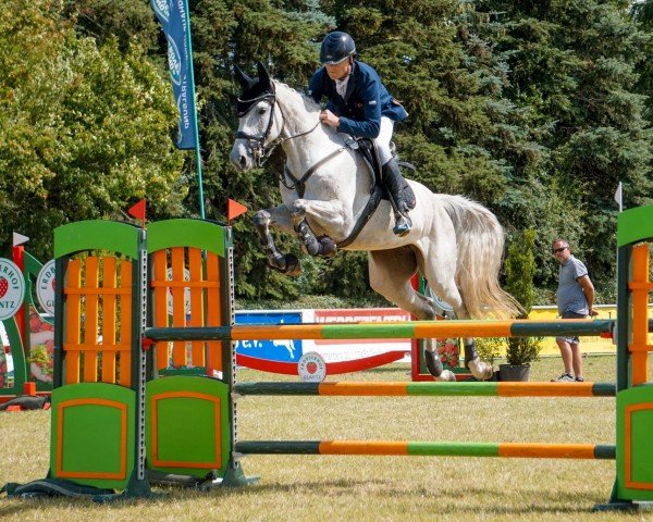 jumper Cosma 70 (Oldenburg show jumper, 2018, from Cellestial)