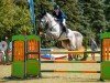 jumper Cosma 70 (Oldenburg show jumper, 2018, from Cellestial)
