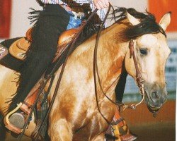 horse Three Star Dun It (Quarter Horse, 2002, from Hollywood Dun It)